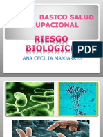 Riesgobiologicosena 130221111320 Phpapp01