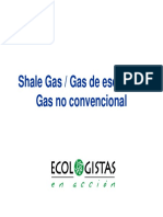 shalegaspresentacion-120607015538-phpapp02.pdf