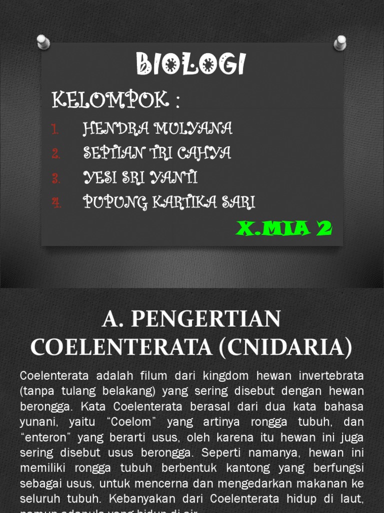 78+ Gambar Coelenterata (Hewan Berongga) Terbaik