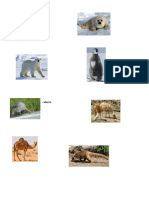 animales por clima.docx