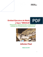 FinaL MMAyA EMAGUA 07 02 17