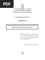 Sistema de Produção Do Carvão Vegetal Em Duas Áreas Da Estrada Am-010, Amazonas-monografia