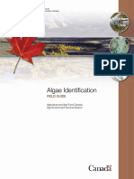 Algae Identification Field Guide PDF