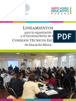 1. Lineamientos CTE 17-18.pdf