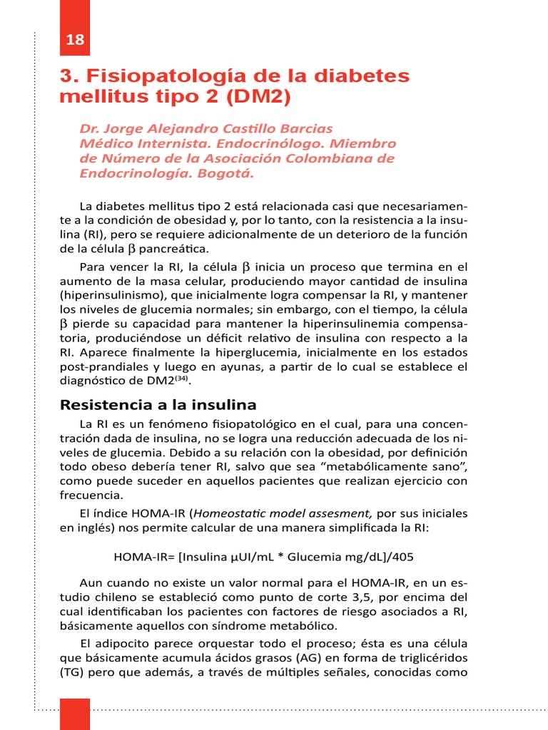 Fisiopatologia de La Diabetes Mellitus Tipo 2 J Castillo PDF | PDF