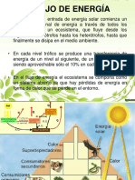 3 El Flujo de Energía, El Ciclo de La Materia