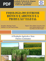 Fisiologia Do Estresse Cleice Fátima