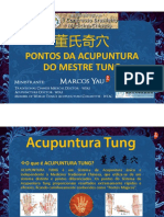 PONTOS EXTRA-MESTRE-TUNG-Marcos-Yau.pdf