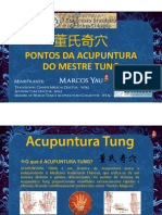 PONTOS EXTRA-MESTRE-TUNG-Marcos-Yau PDF