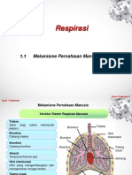 1.1 Mekanisme Pernafasan Manusia