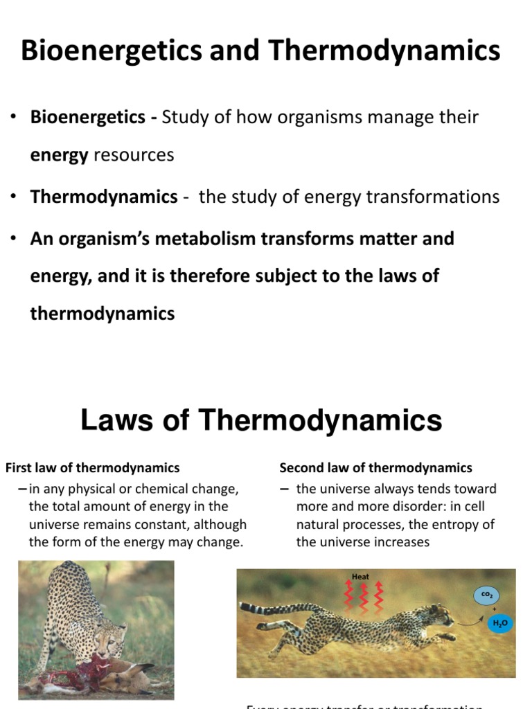 Lecture 2 - BioEnergetics | PDF | Gibbs Free Energy | Chemical Equilibrium