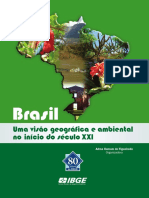 VISÃO_GEO_BR.pdf
