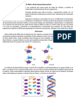 El ADN o Ácido Desoxirribonucleico