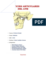 Superficies Articulares Del Atm