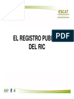 12 Presentacion - Registro - Publico PDF