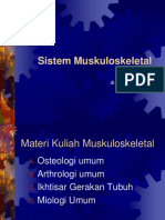 Anatomi Sistem Muskuloskeletal