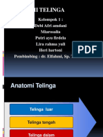 Anatomi Telinga Mia