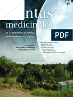 Manual Plantas Medicinales Veracruz Mejico