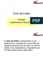 Ciclo de Krebs