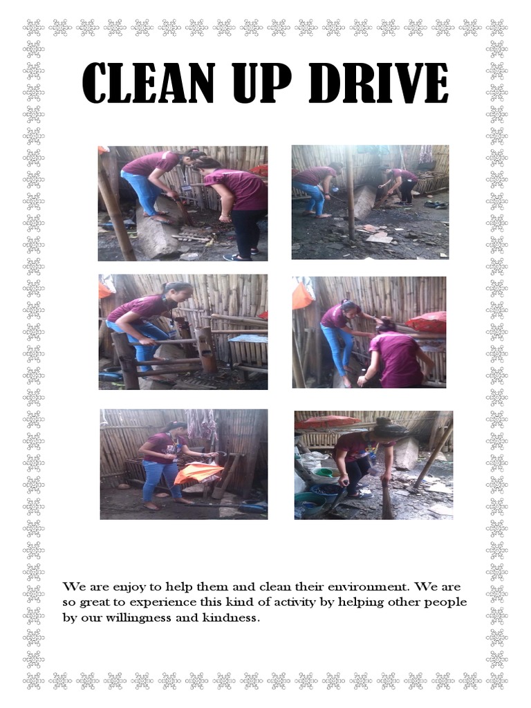 Community Drive Cleanup Initiative | PDF