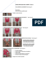 01 FUNCIONES ESPECIALES DEL CUERPO Texto II PDF