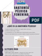 Anatomia Pelvica Femenina Pres