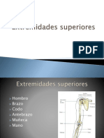 G Extremidades Superiores e Inferiores