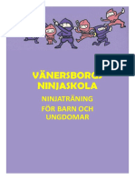 Vänersborgs Ninjaskola - Kyu Systemet