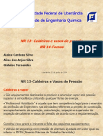 NR 13 - Caldeiras e Vasos de Pressão NR 14-Fornos