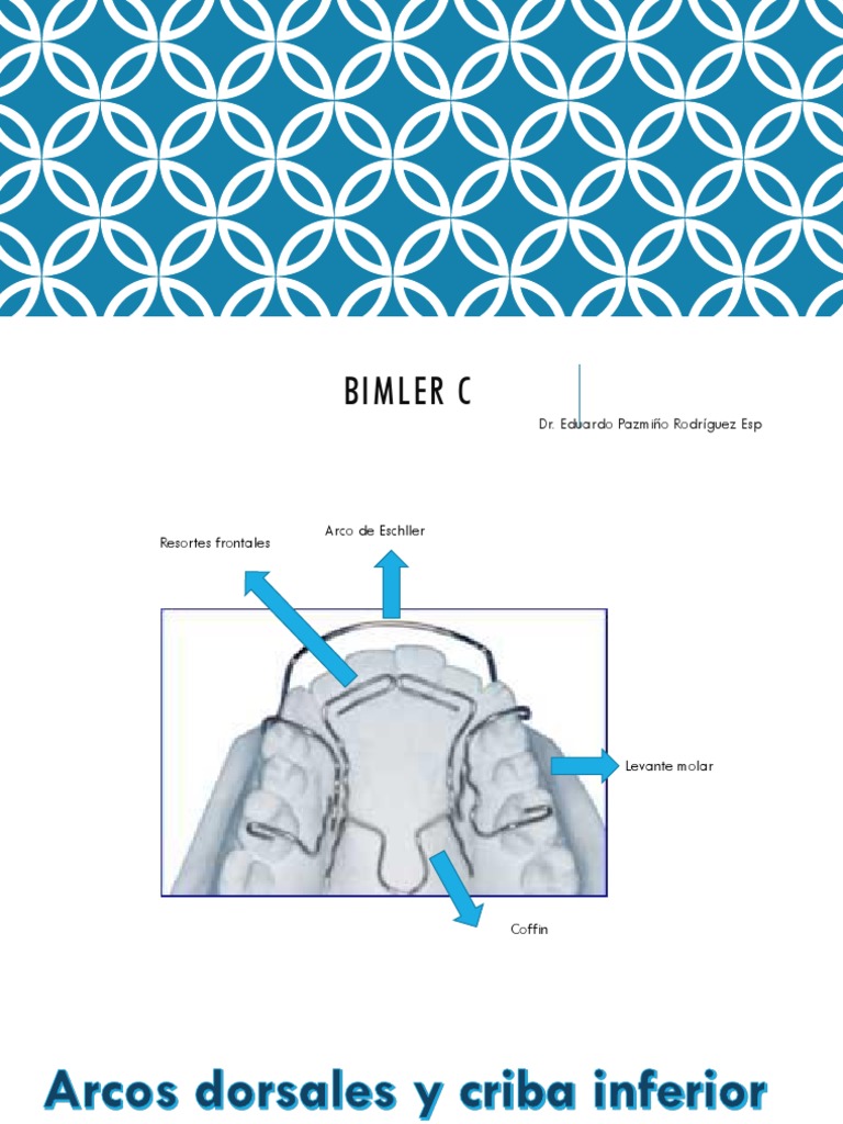 Bimler C | PDF