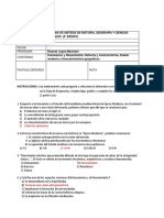 Prueba de Síntesis 8º Básico (1º Sem.)