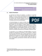 MARCO ESTRATEGICO.pdf