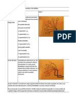 Documents - Tips - Program de Exercitii Dinamice Corective Si de Tonifiere Klapp - Odt