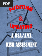 Auditing Updating an AML Risk Assessment Donna Davidek