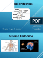 Sistema Endocrino