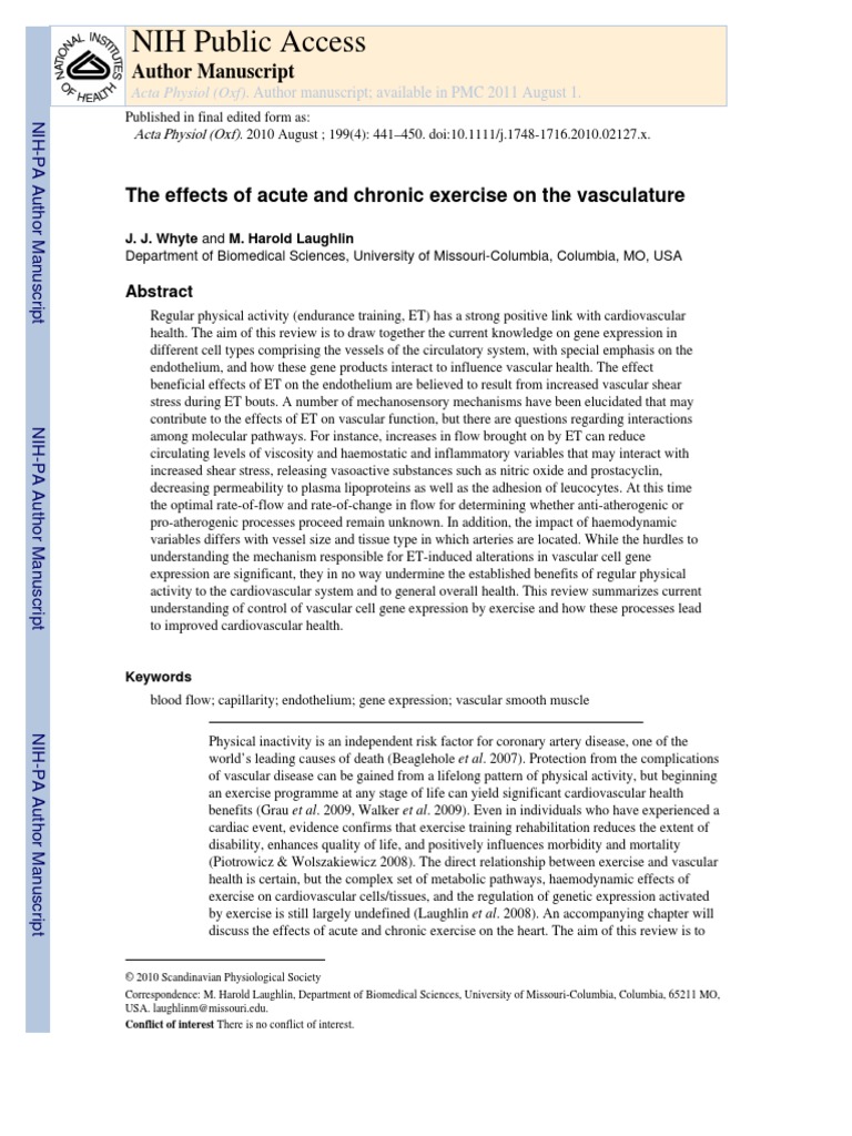 The Effects of Acute and Chronic Exercise On The Vasculature | PDF ...
