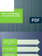 Micobacterias de crecimiento lento y no tuberculosas