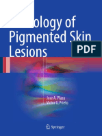 Pathology of Pigmented Skin Lesion