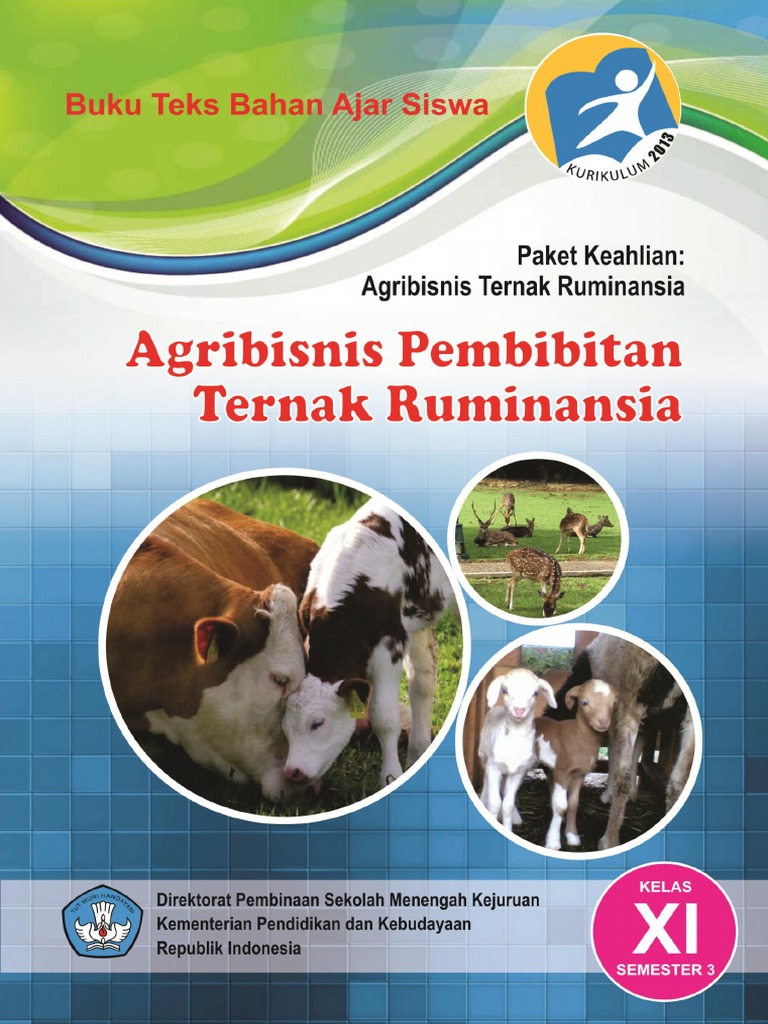 AGRIBISNIS PEMBIBITAN TERNAK  RUMINANSIA  XI 3 pdf 