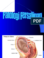 Patologi Persalinan