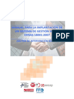 MANUAL IMPLEMENTACION OHSAS.pdf