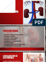 Sistema renal.pptx