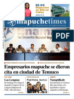 Mapuche Times 1