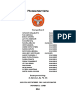 Pheocromocytoma Kelompok 5,6