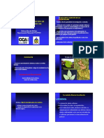 6 EVALUACION_ENFERMEDADES.pdf