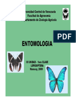 Entomologia Lepidoptera PDF