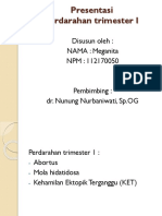 MEGANITA (Perdarahan Trimester 1)