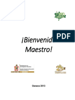 Bienvenido Maestro 2013 PDF
