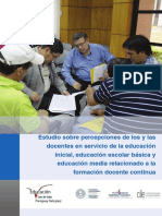 Percepcion Formacion Continua Ciie