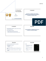 2. Crecimiento y Desarrollo  craneofacial